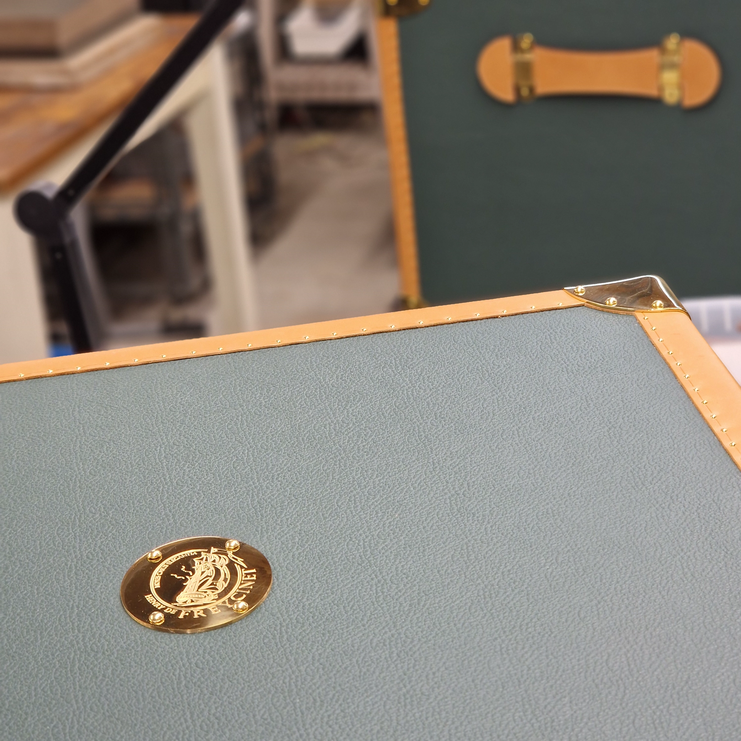 Gold Henry de Freycinet medallion on a green trunk